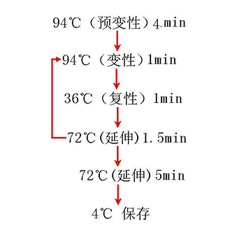 博猫游戏·(中国)官网登录入口