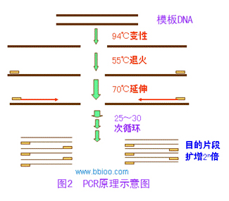 博猫游戏·(中国)官网登录入口