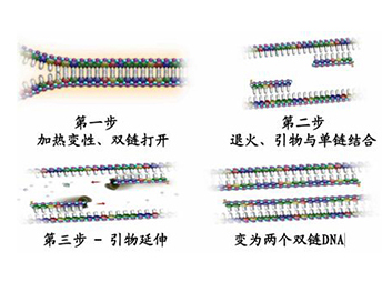 博猫游戏·(中国)官网登录入口
