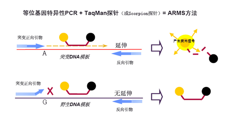 博猫游戏·(中国)官网登录入口
